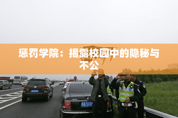 惩罚学院：揭露校园中的隐秘与不公