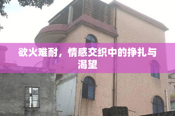 欲火难耐，情感交织中的挣扎与渴望