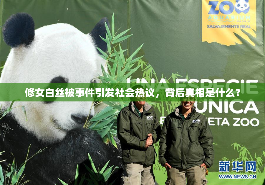 修女白丝被事件引发社会热议，背后真相是什么？