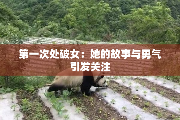 第一次处破女：她的故事与勇气引发关注
