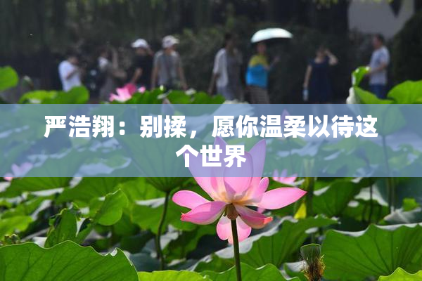 严浩翔：别揉，愿你温柔以待这个世界