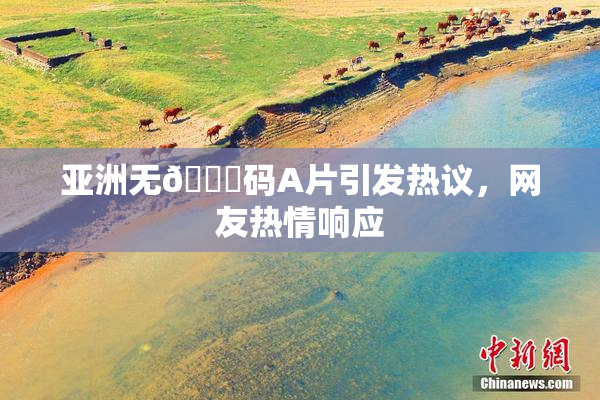 亚洲无🈚码A片引发热议，网友热情响应