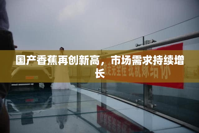 国产香蕉再创新高，市场需求持续增长