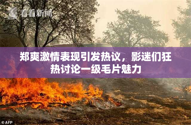 郑爽激情表现引发热议，影迷们狂热讨论一级毛片魅力
