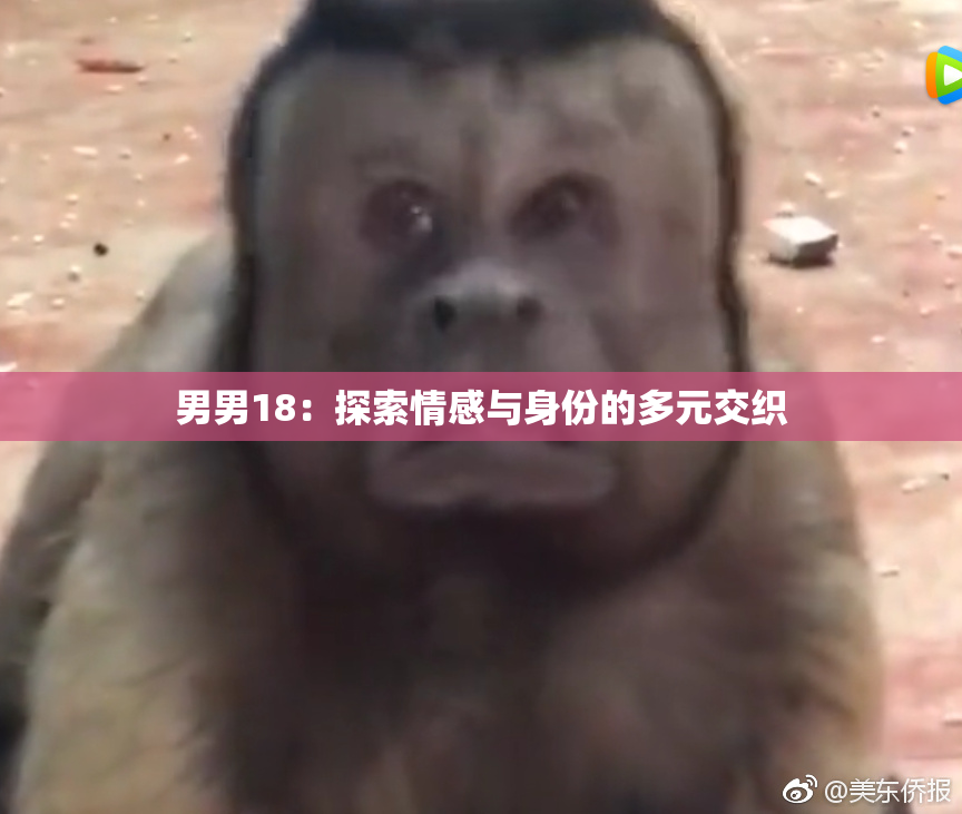 男男18：探索情感与身份的多元交织
