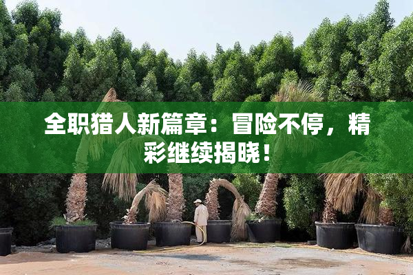 全职猎人新篇章：冒险不停，精彩继续揭晓！