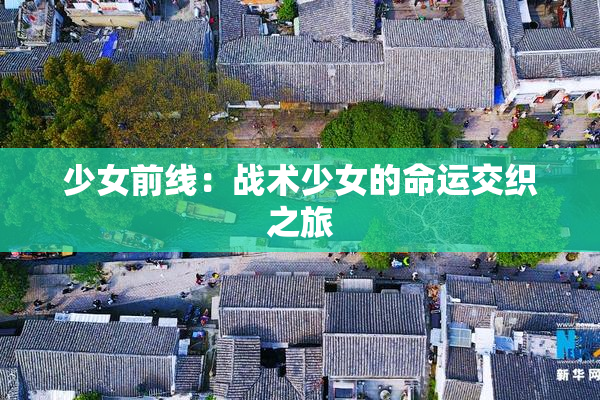 少女前线：战术少女的命运交织之旅