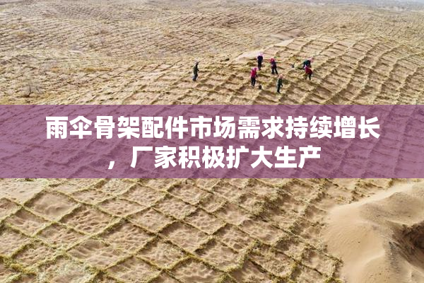 雨伞骨架配件市场需求持续增长，厂家积极扩大生产