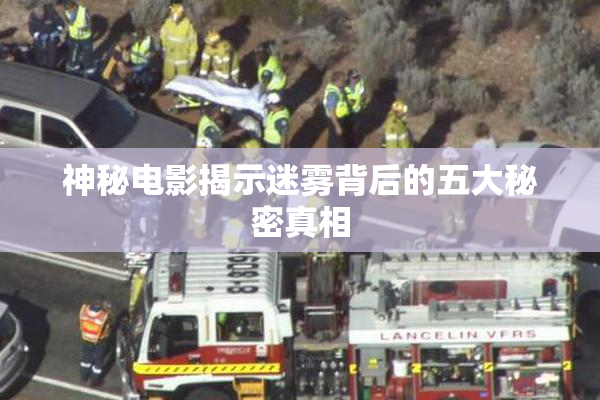 神秘电影揭示迷雾背后的五大秘密真相