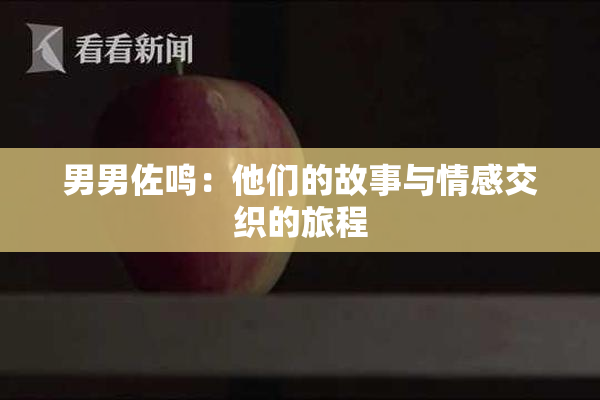 男男佐鸣：他们的故事与情感交织的旅程