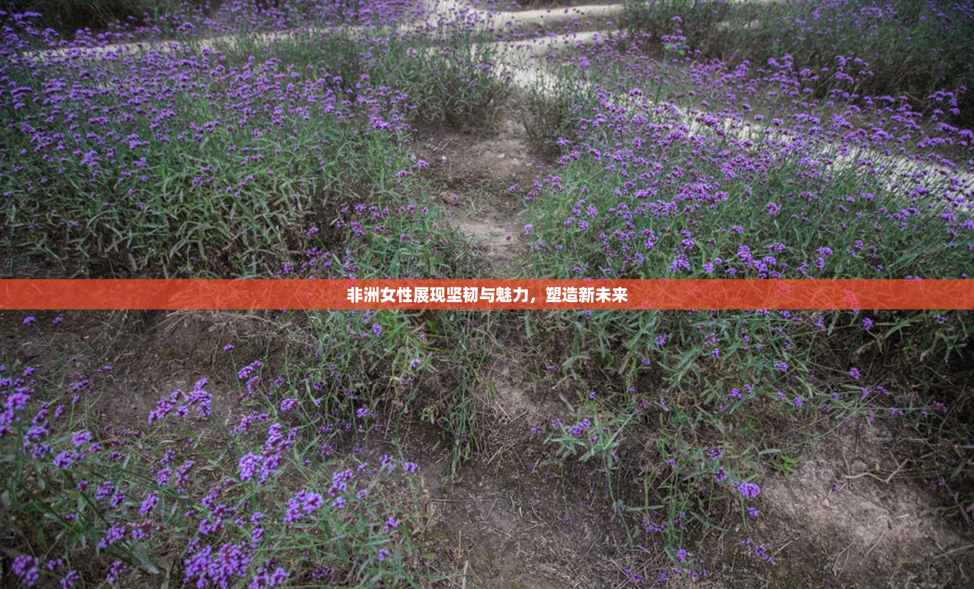 非洲女性展现坚韧与魅力，塑造新未来