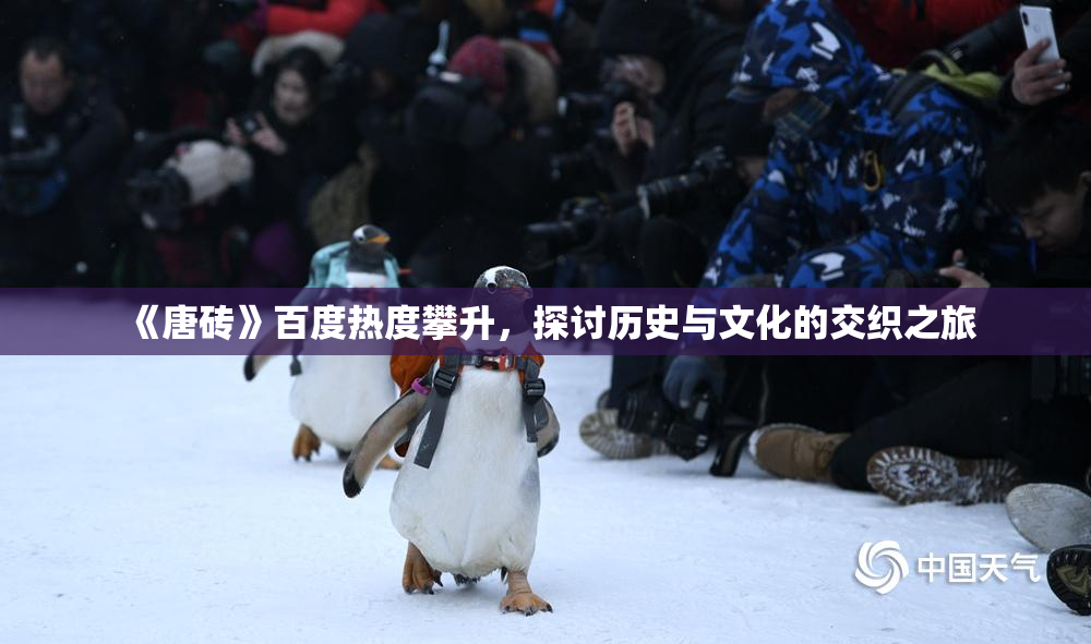 《唐砖》百度热度攀升，探讨历史与文化的交织之旅