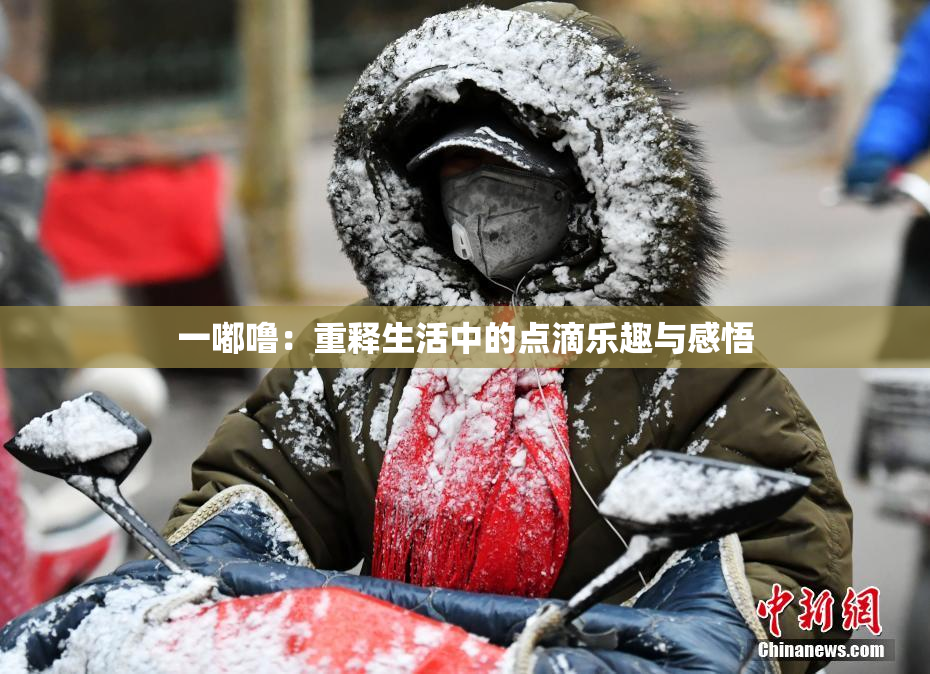 一嘟噜：重释生活中的点滴乐趣与感悟