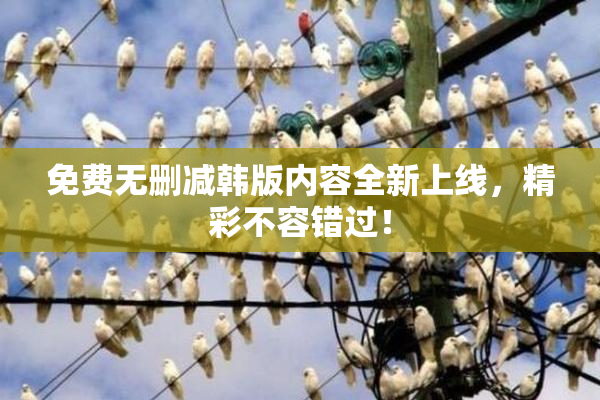 免费无删减韩版内容全新上线，精彩不容错过！