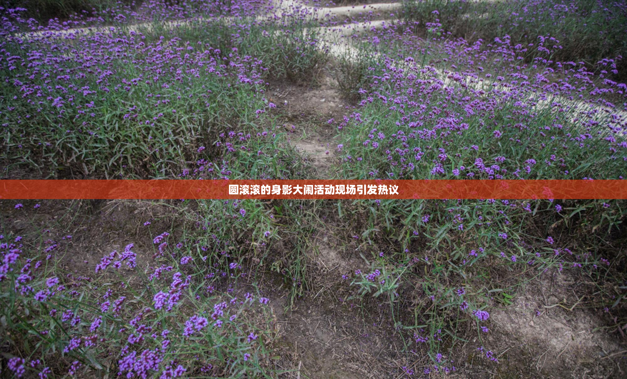 圆滚滚的身影大闹活动现场引发热议