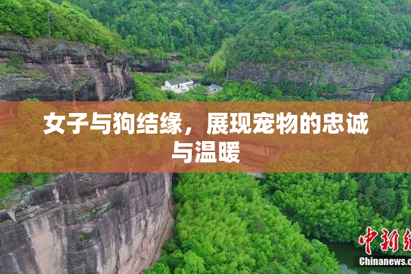 女子与狗结缘，展现宠物的忠诚与温暖