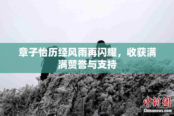 章子怡历经风雨再闪耀，收获满满赞誉与支持