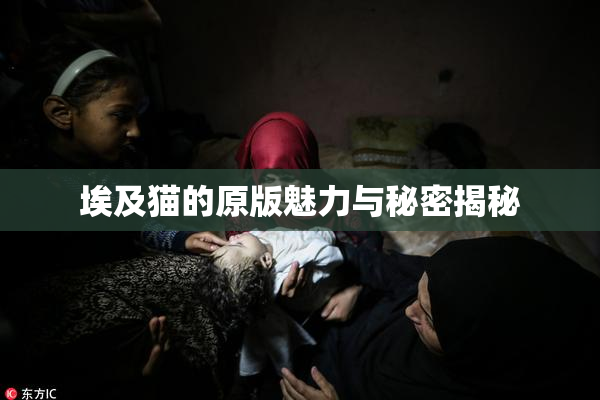 埃及猫的原版魅力与秘密揭秘