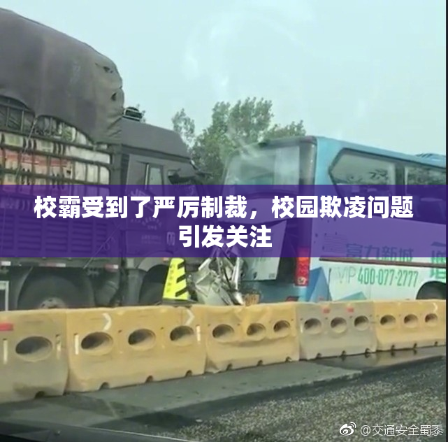 校霸受到了严厉制裁，校园欺凌问题引发关注