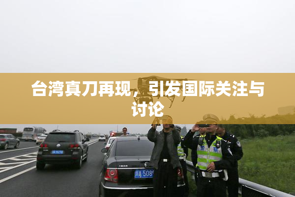 台湾真刀再现，引发国际关注与讨论
