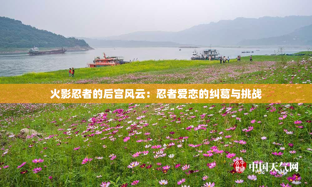 火影忍者的后宫风云：忍者爱恋的纠葛与挑战