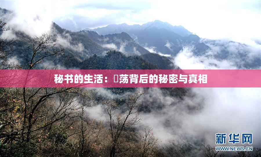 秘书的生活：婬荡背后的秘密与真相