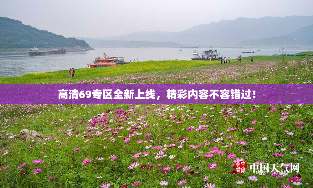 高清69专区全新上线，精彩内容不容错过！