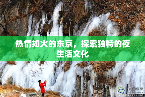 热情如火的东京，探索独特的夜生活文化