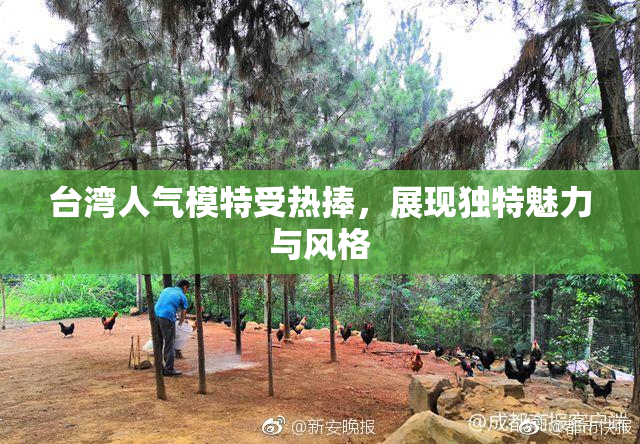 台湾人气模特受热捧，展现独特魅力与风格