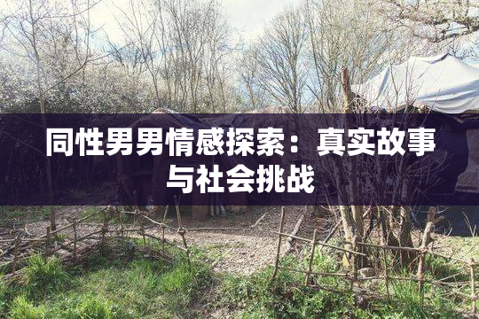 同性男男情感探索：真实故事与社会挑战