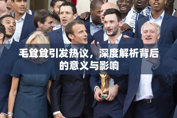 毛耸耸引发热议，深度解析背后的意义与影响