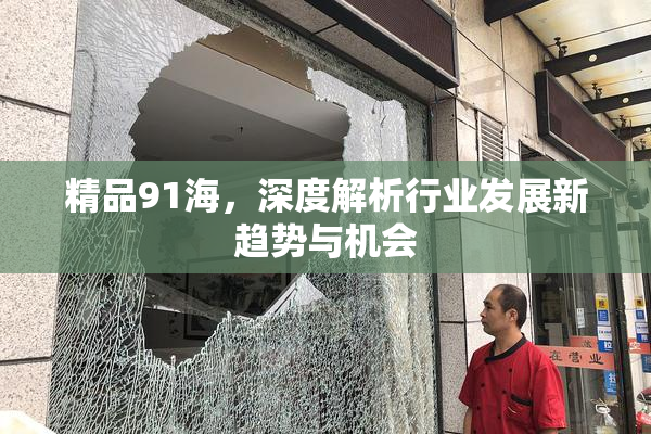 精品91海，深度解析行业发展新趋势与机会