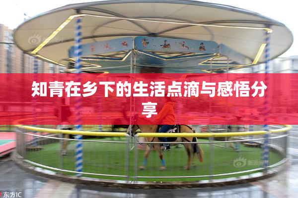 知青在乡下的生活点滴与感悟分享