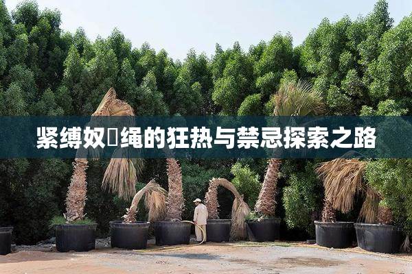 紧缚奴隸绳的狂热与禁忌探索之路