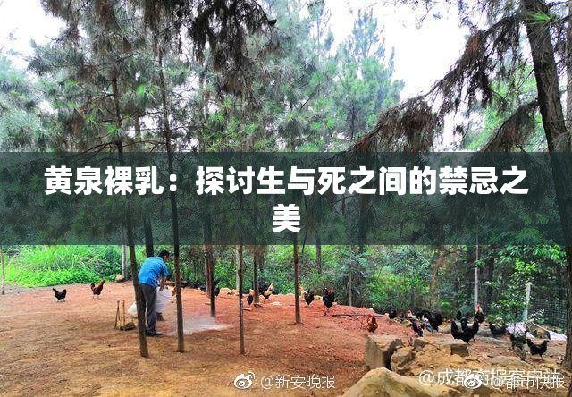 黄泉裸乳：探讨生与死之间的禁忌之美