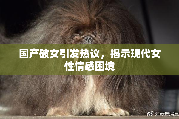 国产破女引发热议，揭示现代女性情感困境