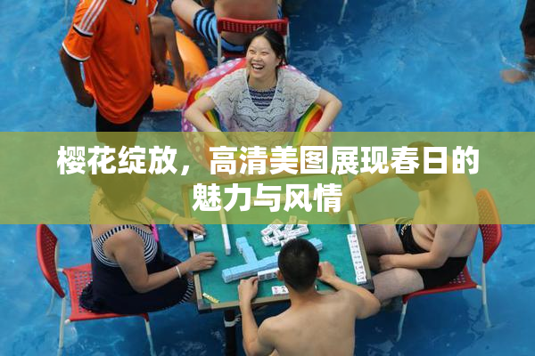 樱花绽放，高清美图展现春日的魅力与风情
