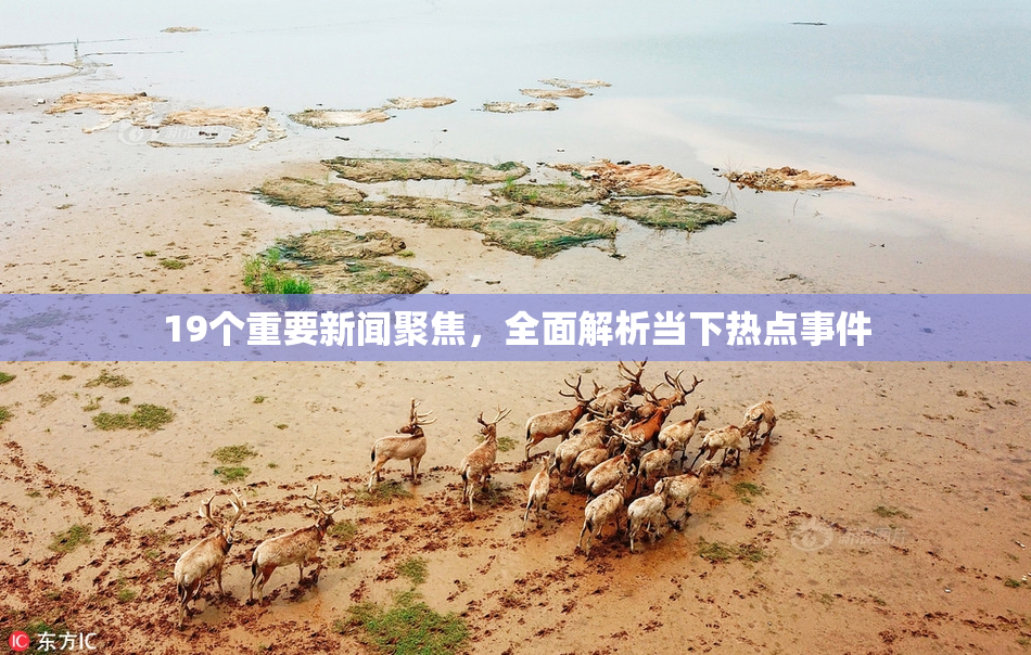 19个重要新闻聚焦，全面解析当下热点事件