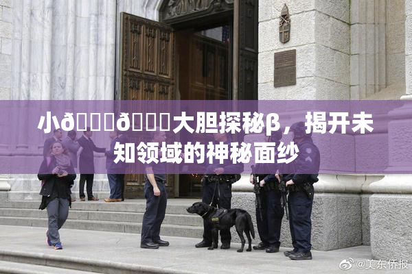 小🐔🐔大胆探秘β，揭开未知领域的神秘面纱
