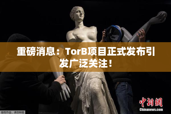 重磅消息：TorB项目正式发布引发广泛关注！