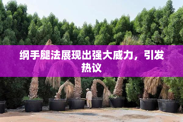纲手腿法展现出强大威力，引发热议