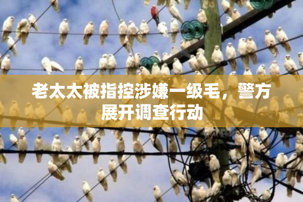 老太太被指控涉嫌一级毛，警方展开调查行动