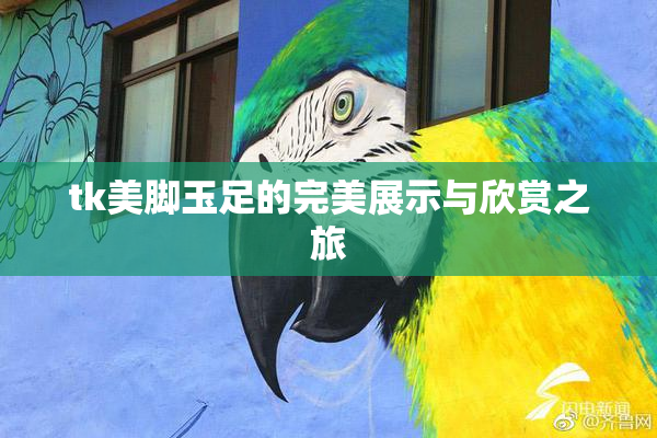 tk美脚玉足的完美展示与欣赏之旅