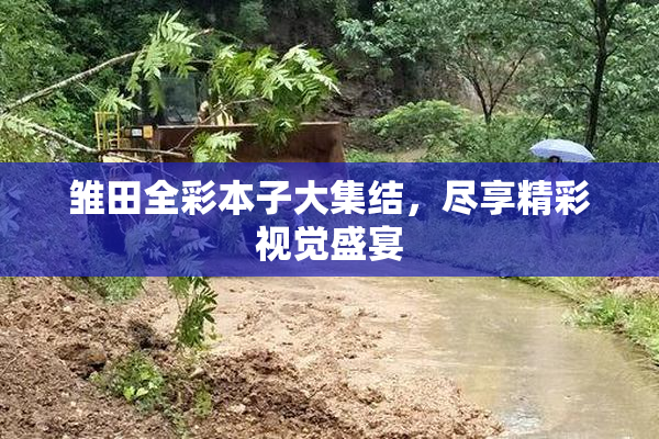 雏田全彩本子大集结，尽享精彩视觉盛宴