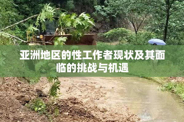 亚洲地区的性工作者现状及其面临的挑战与机遇