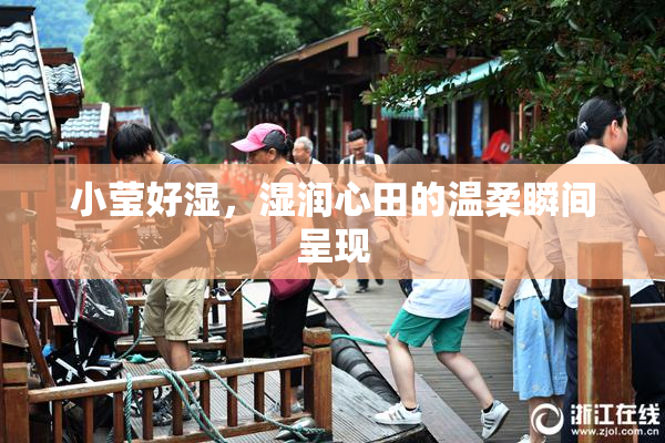 小莹好湿，湿润心田的温柔瞬间呈现