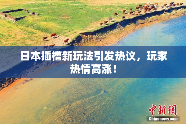 日本插槽新玩法引发热议，玩家热情高涨！