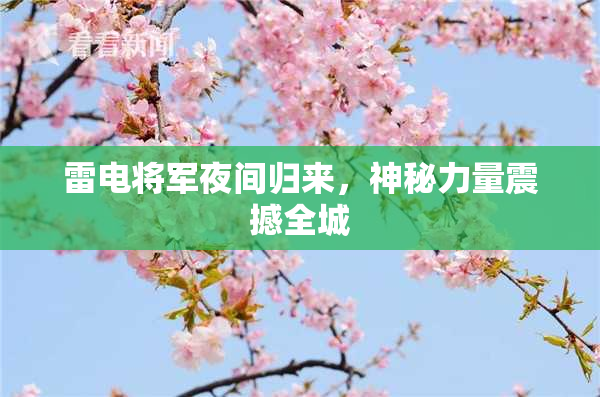 雷电将军夜间归来，神秘力量震撼全城