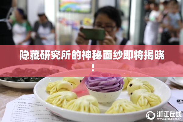 隐藏研究所的神秘面纱即将揭晓！