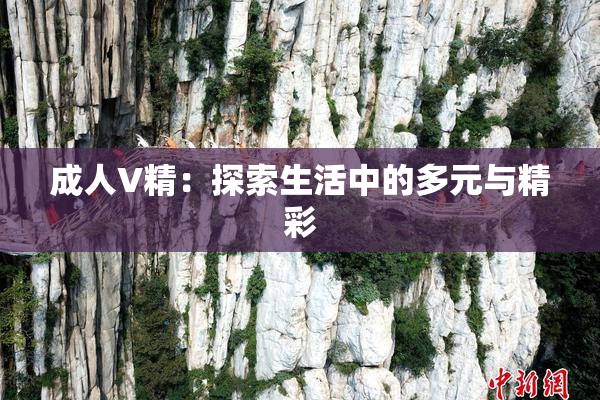 成人V精：探索生活中的多元与精彩